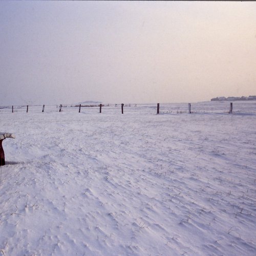 Bank im Schnee
