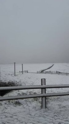 Facebook Photo