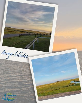 📸 Augenblicke auf Hooge: mal laut, mal leise, mal lichtdurchflutet und bunt, mal düster und grau, mal friedlich, mal stürmisch...

Wer Abwechslung sucht ist auf Hallig Hooge genau richtig! Wart ihr schonmal auf Hooge?

Euer Tourismus-Service Hallig Hooge⚓