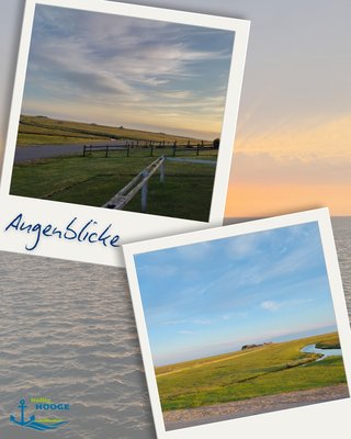 📸 Augenblicke auf Hooge: mal laut, mal leise, mal lichtdurchflutet und bunt, mal düster und grau, mal friedlich, mal stürmisch...

Wer Abwechslung sucht ist auf Hallig Hooge genau richtig! Wart ihr schonmal auf Hooge?

Euer Tourismus-Service Hallig Hooge⚓