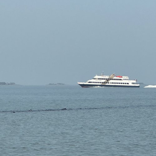 Adler Express