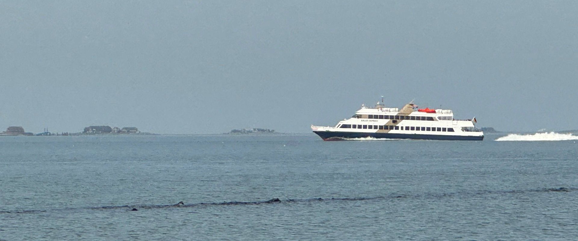 Adler Express auf dem Weg durch das Wattenmeer