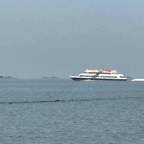 Adler Express auf dem Weg durch das Wattenmeer