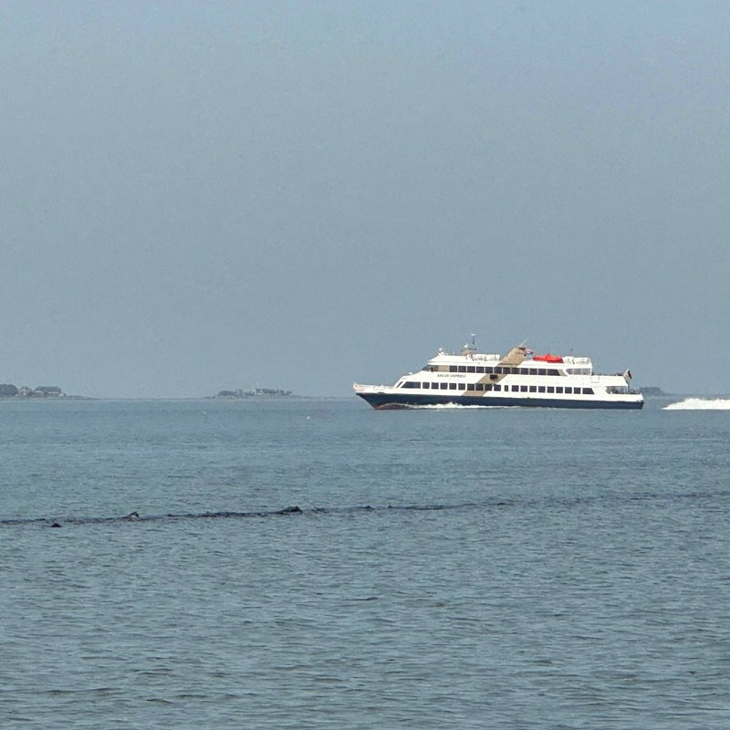 Adler Express auf dem Weg durch das Wattenmeer