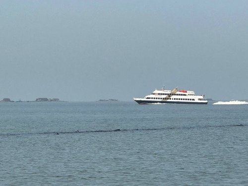 Adler Express auf dem Weg durch das Wattenmeer