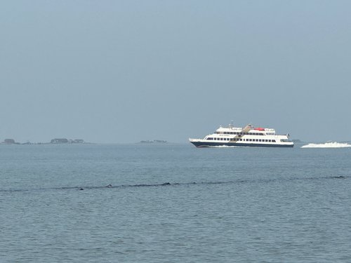 Adler Express