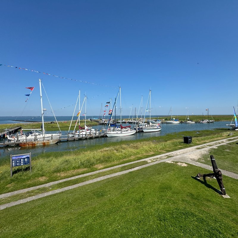 Ausblick Seglerhafen von Seilerhus