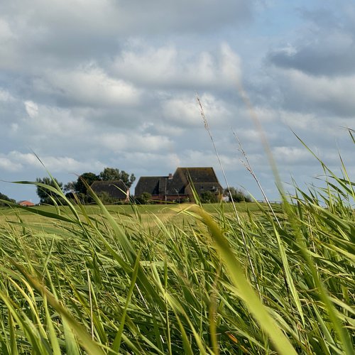 Feld und Warft