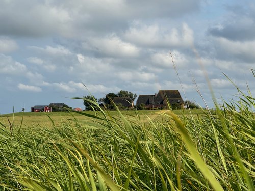 Feld und Warft