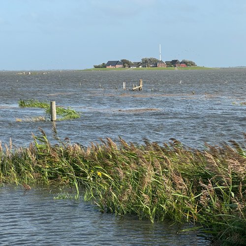 Landunter Blick Ockenswarft
