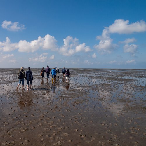 Wattwanderer mit weitem Blick ins Wattenmeer bei Ebbe