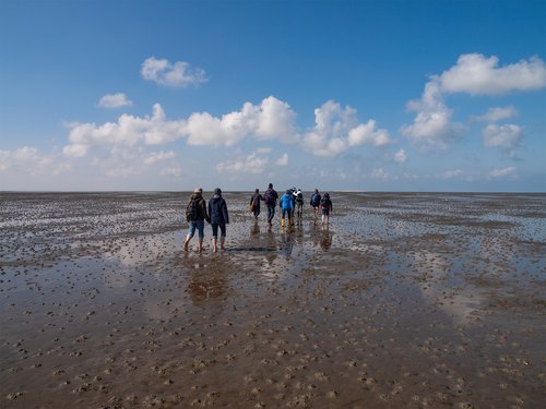 Wattwanderer mit weitem Blick ins Wattenmeer bei Ebbe
