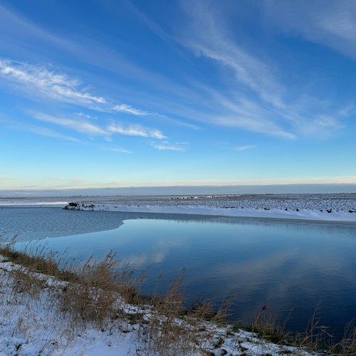 Priel im Winter