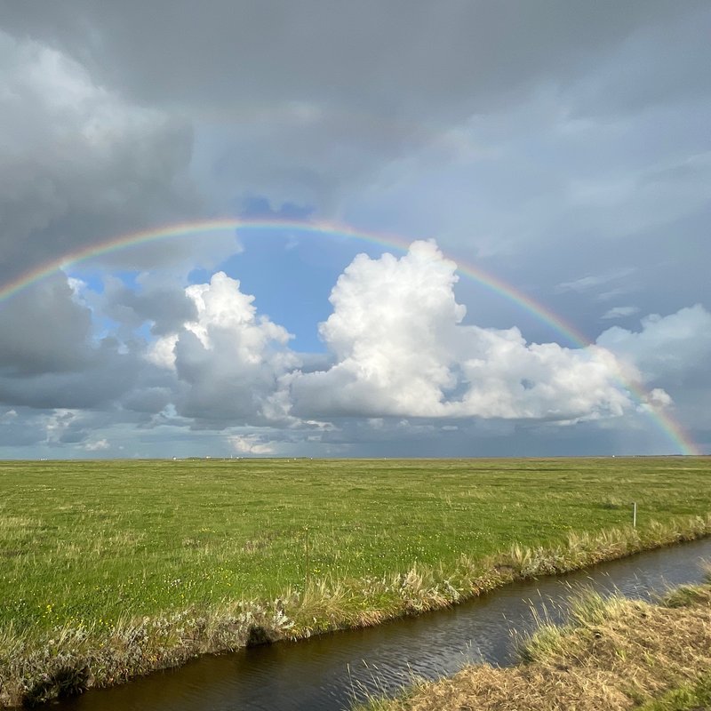 Regenbogen auf der Hallig