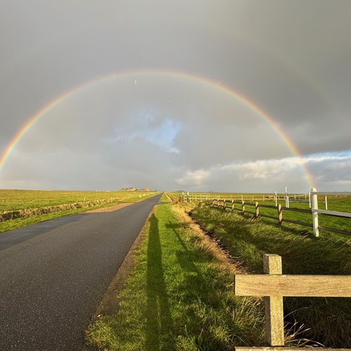 Regenbogen4
