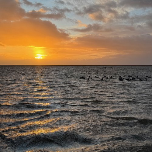 Sonnenaufgang über dem Wattenmeer