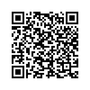 QR-Code Hooge-Kurkarte für Tagesgäste