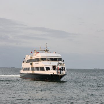 Adler-Express legt auf Hooge an