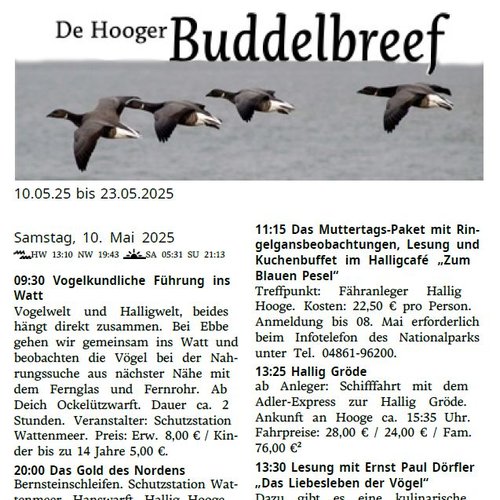 Buddelbreef