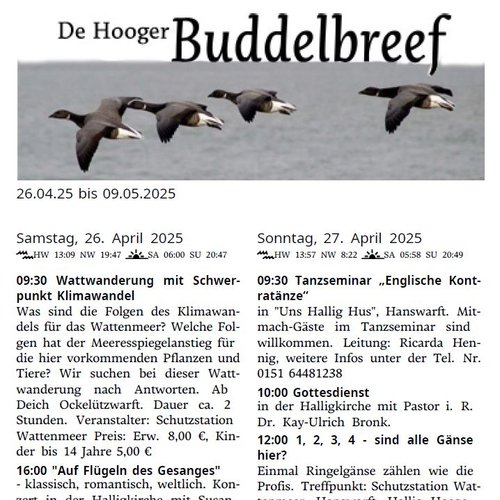 Buddelbreef Muster