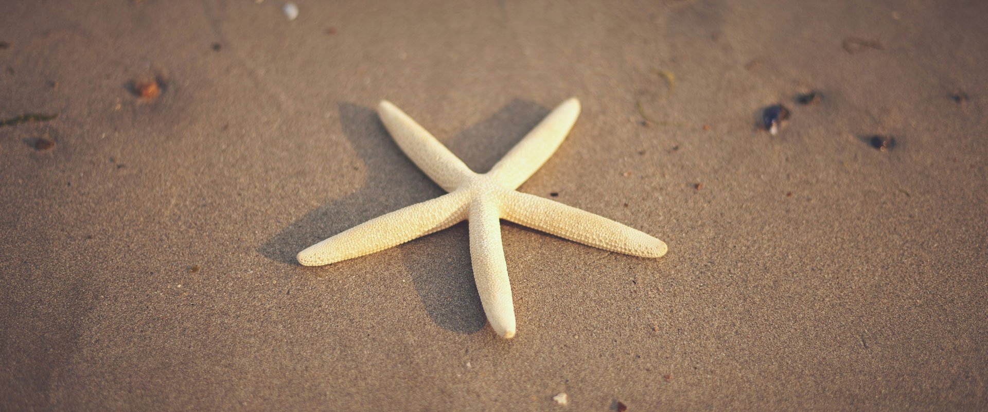 mike-kenneally-NXB51Lc1RdM-unsplash