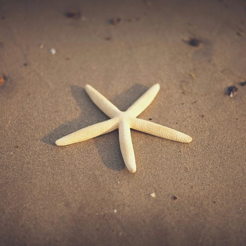 mike-kenneally-NXB51Lc1RdM-unsplash
