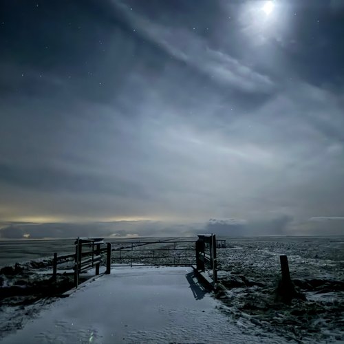 Winternacht Gatter